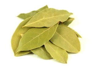 Bay leaf