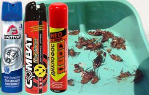 Mga produktong anti-cockroach