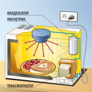 Elements of a microwave oven that consume electricity