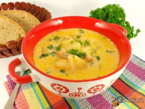 Cómo cocinar sopas en una olla de cocción lenta.