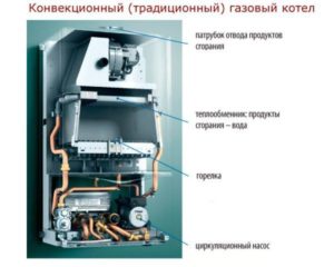 Convection boiler