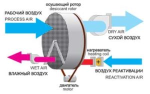 Absorptie