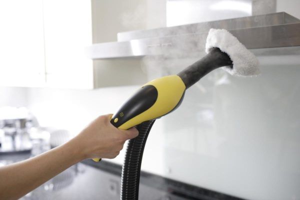 what can a steam cleaner do?