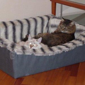 DIY sofa for katter.