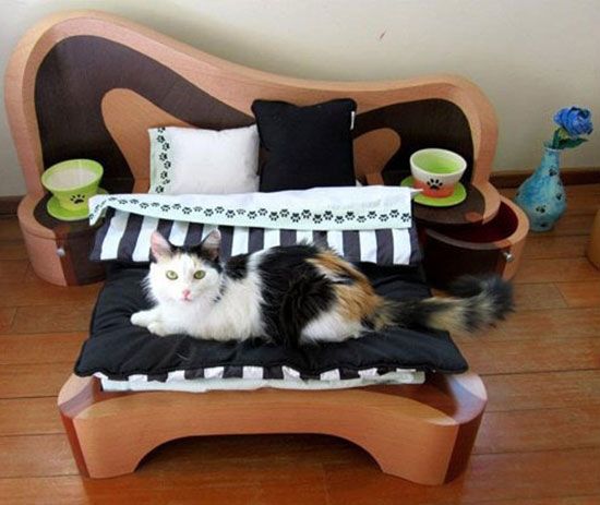 Come realizzare un letto per un gatto con le tue mani.