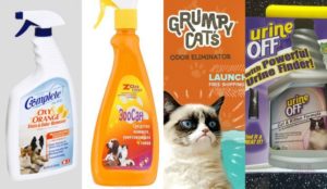 Produtos especiais para tirar o cheiro de urina de gato do sofá.