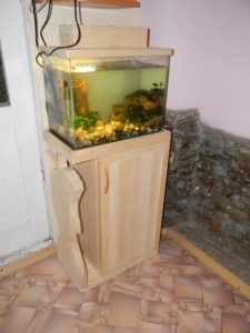 DIY aquarium cabinet. 