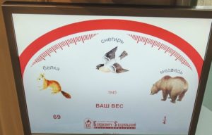 Scales that show weight in animals