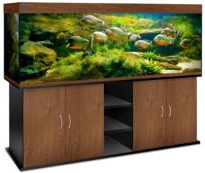 Why do you need a special cabinet for an aquarium?