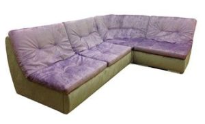 Báo sư tử trên ghế sofa