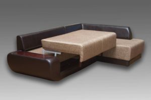 Báo sư tử trên ghế sofa