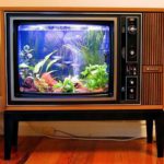 DIY aquarium mula sa isang lumang TV