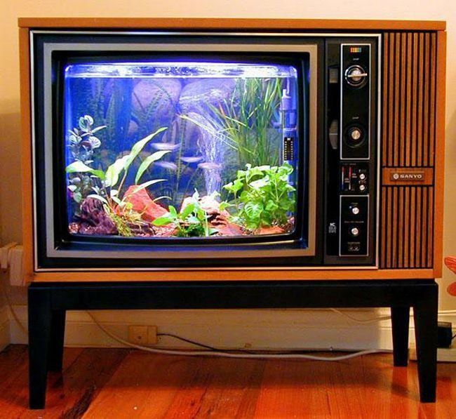 DIY-aquarium van een oude tv