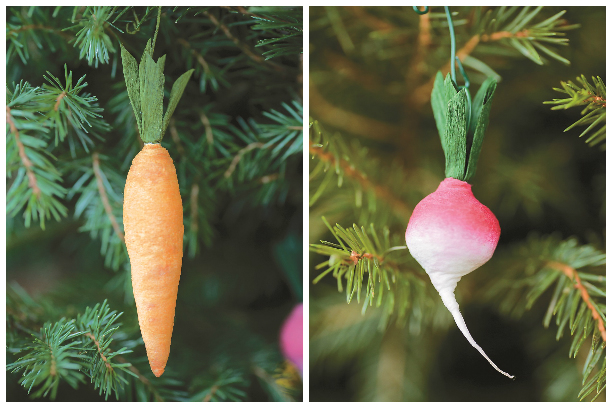 Carottes et radis prêts.