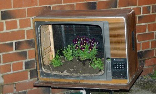 Flower bed from an old TV.