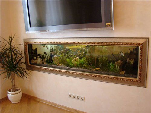 Acquario e TV