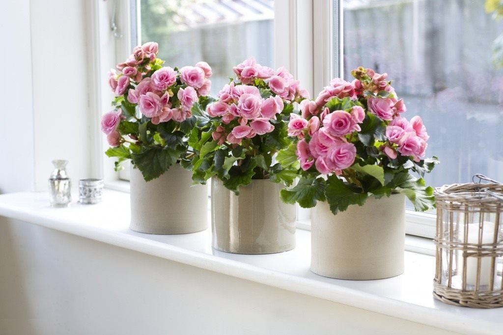 bloemen in de slaapkamer