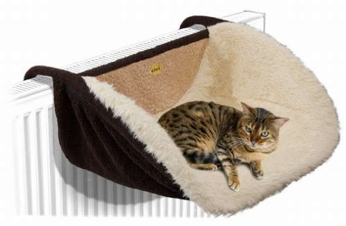 battery operated hammock for cat