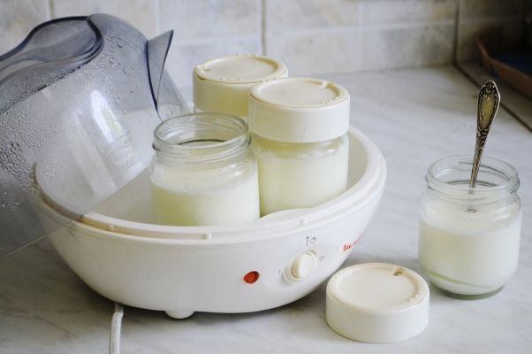 yoghurt maker