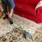 how to clean a carpet at home