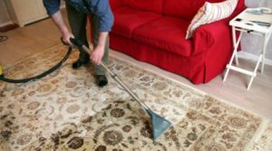 how to clean a carpet at home