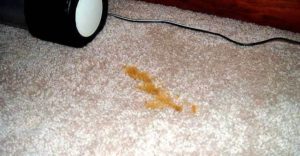 remove iodine from carpet