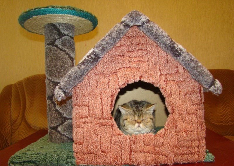 Pagpipilian para sa isang cat house na gawa sa carpet na may scratching post.