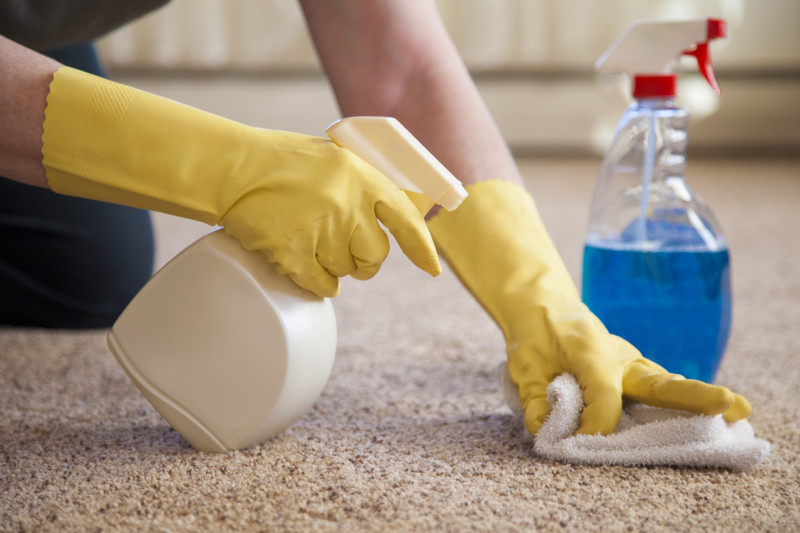 Cleaning carpet with store-bought products.