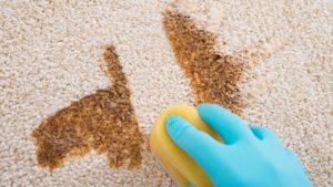 How to clean carpet from stains.