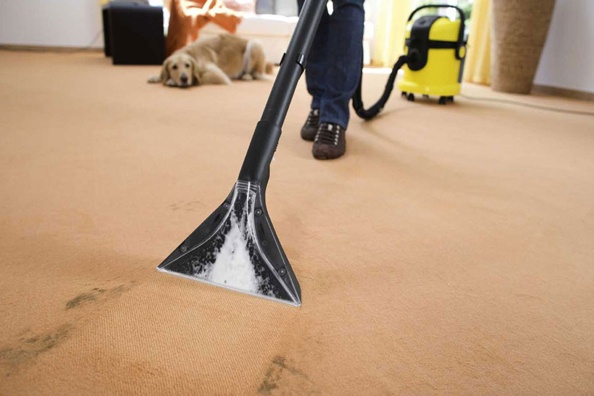 Nettoyage du tapis avec un aspirateur laveur.