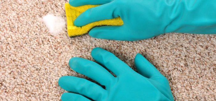 How to clean a carpet with baking soda