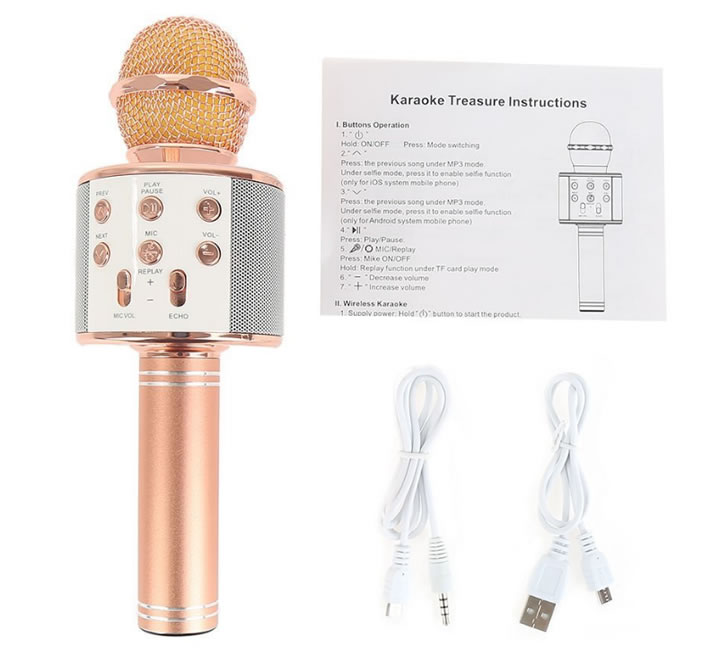 Karaoke microphone device.