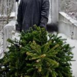 cómo quitar un árbol de navidad