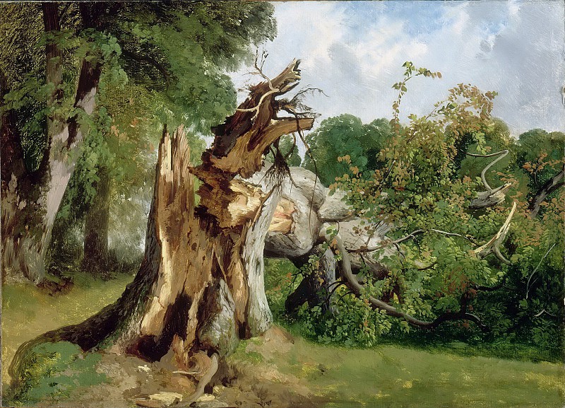 Kalam Broken Tree