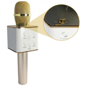 Karaoke microphone 