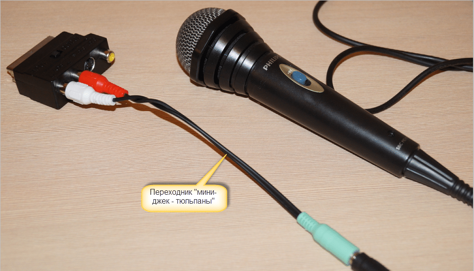 Microphone avec fil tulipe.