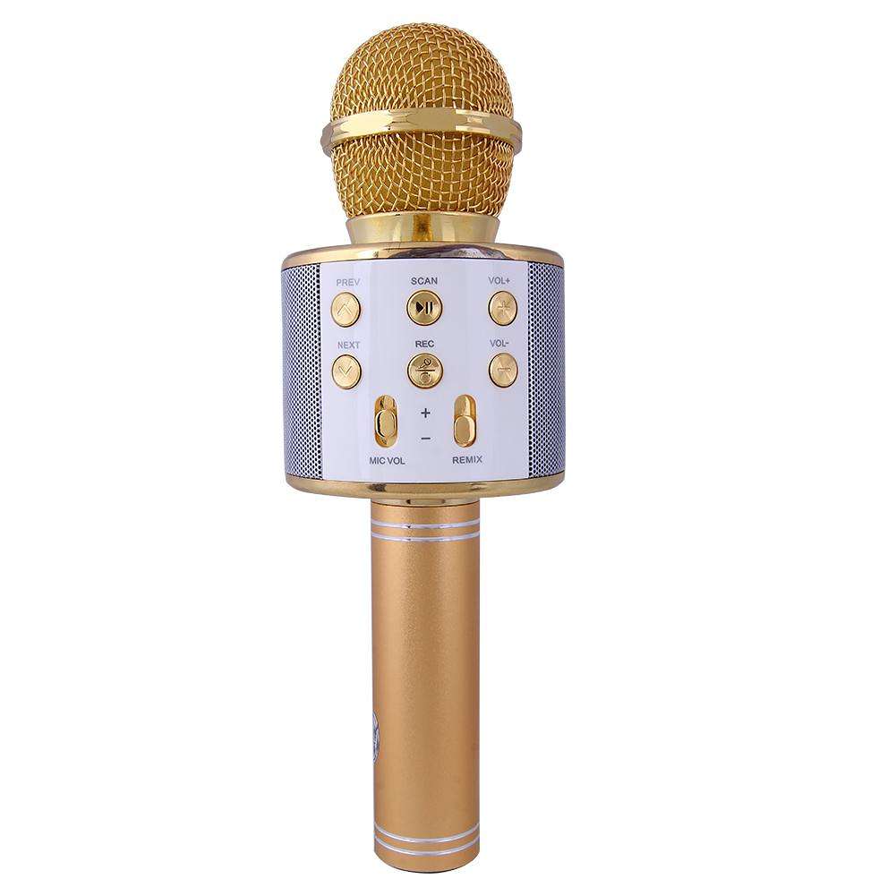 Microfon karaoke.