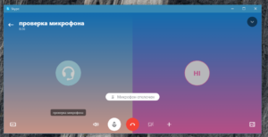 Mikropono sa Skype.