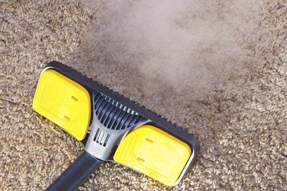 Steam cleaner for carpet.