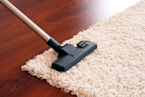 Vacuum cleaner for carpet.