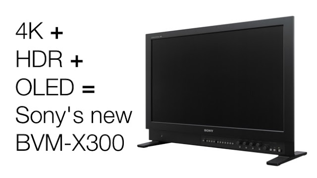 โซนี่ BVM-X300 V2