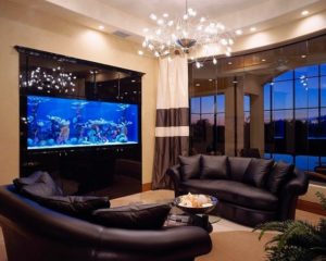 Aquarium statt Fernseher