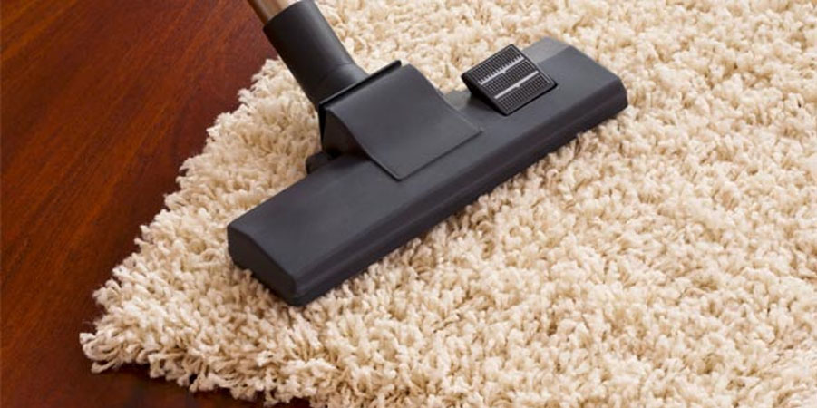 Cleaning long pile carpet.