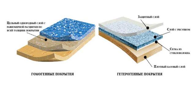 diferencias en la estructura