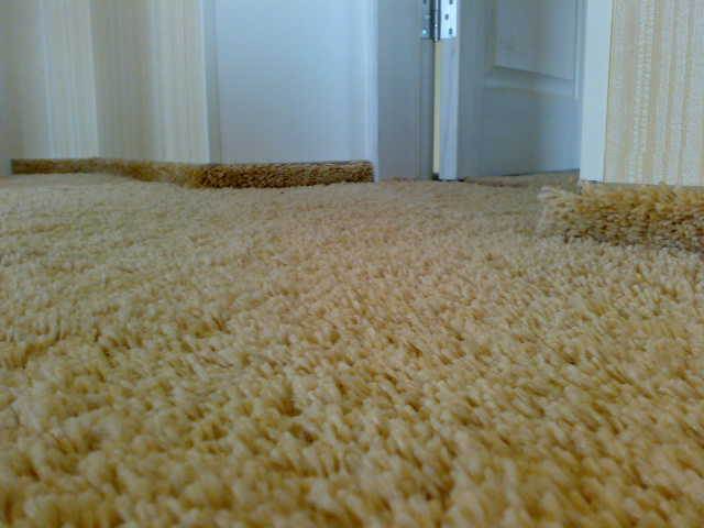 Warm floor for carpet