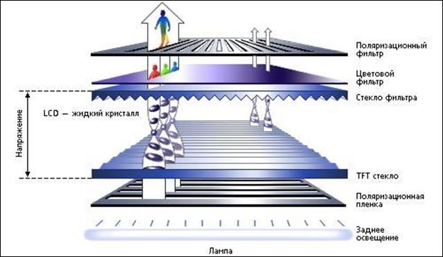 thiết bị giám sát