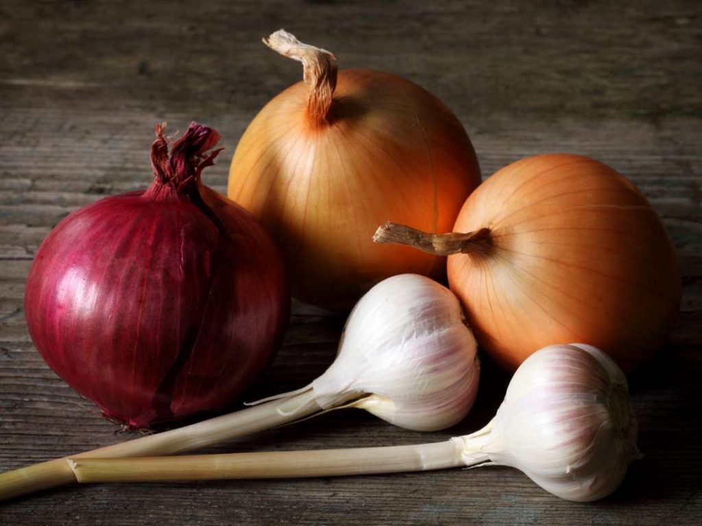 onion and garlic beneficial properties