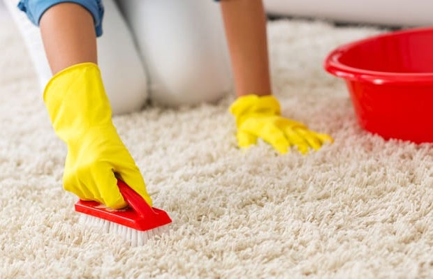 Carpet cleaning 