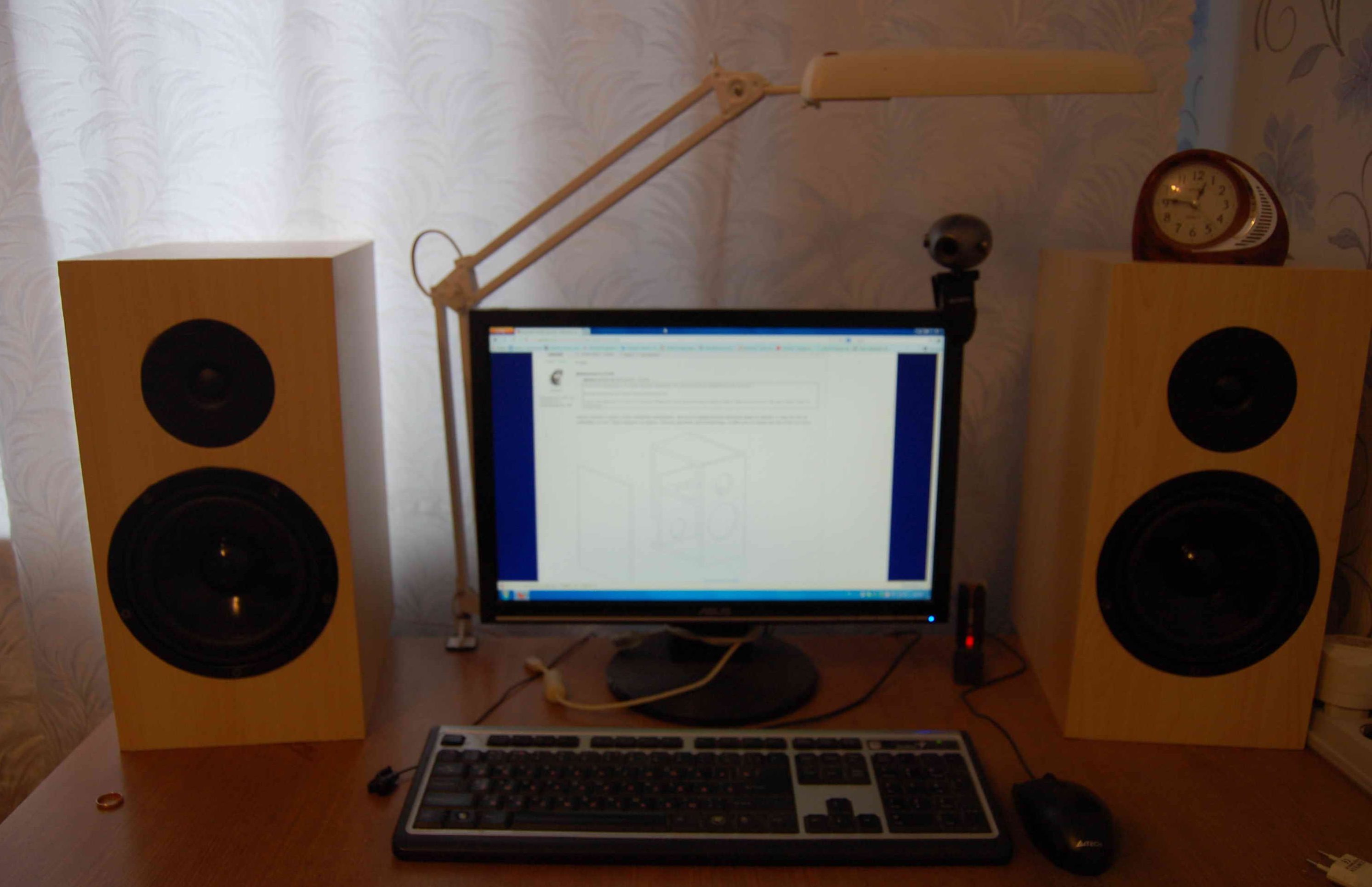 How to make computer speakers with your own hands 3