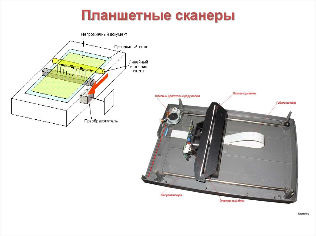 Device of flatbed scanners.